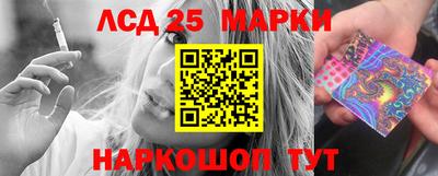 мет Кингисепп