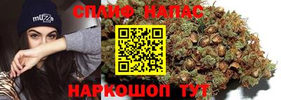 мет Кингисепп