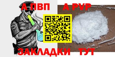 мет Кингисепп