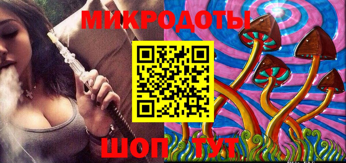 Галлюциногенные грибы Psilocybine cubensis Елизово