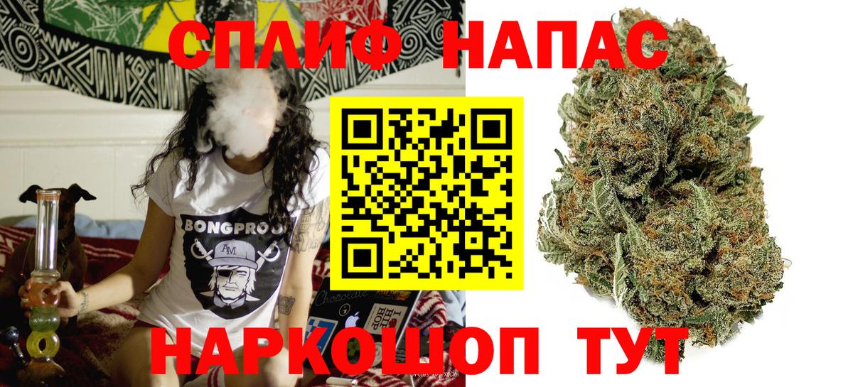 Конопля план Елизово